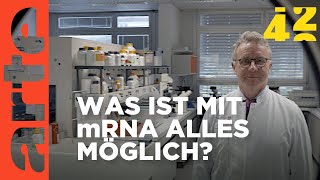 mRNA Werden wir dank Corona den Krebs besiegen  42  Die Antwort auf fast alles  ARTE [upl. by Atillertse]