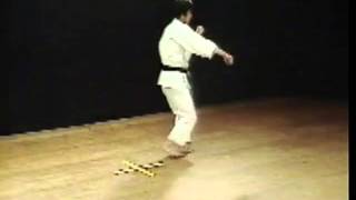 Heian SandanHirokazu KanazawaKata Shotokan SKIF [upl. by Fern]