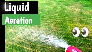 Liquid Aeration by Simple Lawn solutions Fall Treatment [upl. by Hakym570]