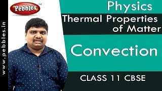 Convection  Thermal Properties of Matter  Physics  Class 11  CBSE [upl. by Nanor894]