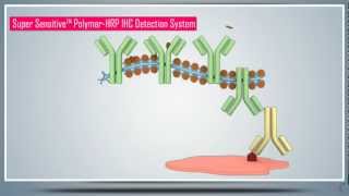 Immunohistochemistry IHC amp AntigenEpitope Protein Retrieval  Principle Technique and Protocol [upl. by Harbot]