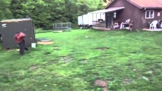 Doberman Attack Video [upl. by Jabez]