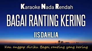 Bagai Ranting KeringIis Dahlia Karaoke Lower Key Nada Rendah HD HQ [upl. by Cynthea]