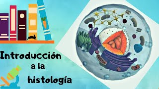 Introducción a la HistologíaConceptos básicos  DOCTOLOGO 🥕 [upl. by Addi]