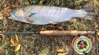 Guasti Trout Fishing [upl. by Grondin]