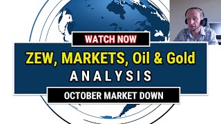 October 2024 Understanding the Zew Indicator Market Update and Commodities Overview [upl. by Four]