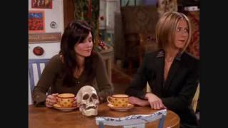 Friends  Phoebe and the skull The One with the Holiday Armadillo season 7 episode 10 [upl. by Wiles989]