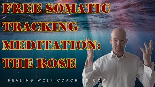 FREE SOMATIC TRACKING MEDITATION DOWNLOAD THE ROSE [upl. by Dirtsa]