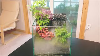 Making an Aqua Terrarium with a Mist Maker [upl. by Aiynat]