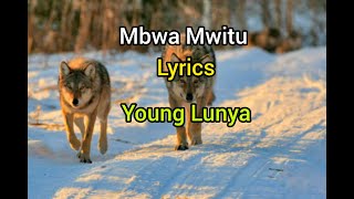 MbwaMwitu LyricsYoung Lunya [upl. by Yesor492]