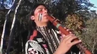 Wuauquikuna Native American Music [upl. by Lothario714]