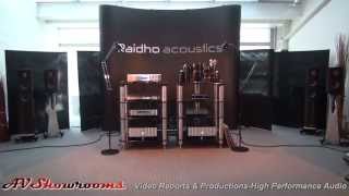 Raidho Loudspeakers D1 vs C41 meet the designers [upl. by Ennovyahs]