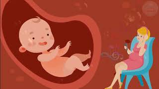 🎵🎵🎵 Pregnancy music for unborn baby ♥ Brain development ♥ Baby kick in the womb 🎵🎵🎵 [upl. by Jamil]