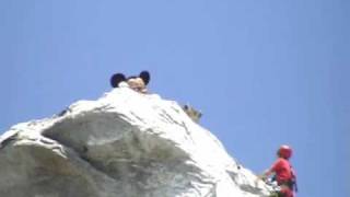 Mickeys Matterhorn Climb 50th [upl. by Suter]