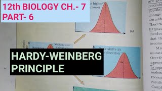 Class 12 biology chapter 7Part 6Hardy weinberg principleStudy with Farru [upl. by Rebhun753]