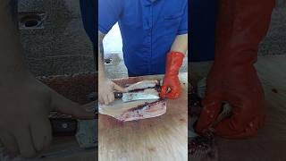 The worlds best way to clean trout fishcuting [upl. by Etana]