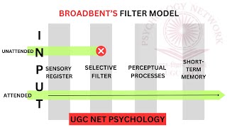 Broadbents Filter Model  Dichotic Listening Task  Cocktail Party Effect Models of Attention UGC [upl. by Lorelie]