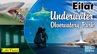 Underwater Observatory Park  Part 01  Eilat Israel [upl. by Ujawernalo]