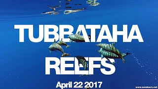 Tubbataha Seadoors April 22 2017 [upl. by Ailis]