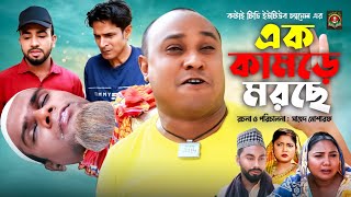 এক কামড়ে মরছে  Sylheti Natok  সিলেটি নাটক  Ek Kamore Morce  Kotai Miah  কটাই মিয়া [upl. by Eevets665]