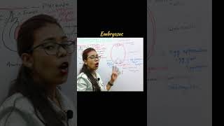 Embryosac  Sexual reproduction in flowering plants  class 12  neet 2024  shorts neet [upl. by Uyr150]