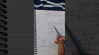 Fetal circulation in easy steps❤️🫀 [upl. by Linden]