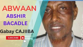 Abwaan Abshir bacadle AUN  Gabay CAJIIBA Hawrargabaysomali1226 [upl. by Adelia]