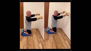 Midsection dynamic stability workout idea strengthcoach strengthtips homeworkout [upl. by Nolrak698]