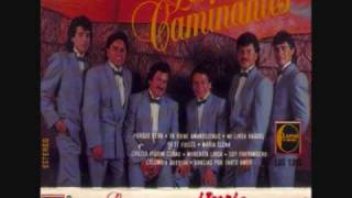 los caminantes maria elena0001wmv [upl. by Noteloc213]