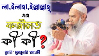 লা ইলাহা ইল্লাল্লাহ্ এর ফজীলত কী কী। mufti mustakunnabi kasemi। মুফতি মুস্তাকুন্নাবি কাসেমী। ২০২৪। [upl. by Ssor370]