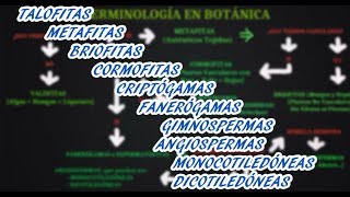 GLOSARIO DE TÉRMINOS BOTÁNICOS TIPOS DE ORGANISMOS VEGETALES [upl. by Juley]