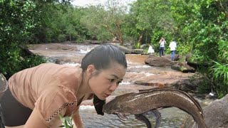 Mountain liffe  catching fish herding pigs daily life  Aunt Chung Rural Life [upl. by Llien]