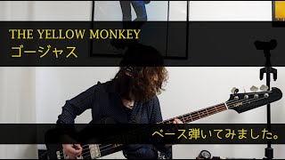 【THE YELLOW MONKEY】ゴージャスのベース弾いてみました【HC007】 [upl. by Esnahc765]