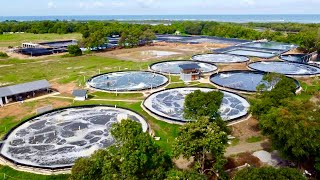 The First the Biggest Super Intensive Shrimp Farm 320 Million Kita per Year [upl. by Sandry]