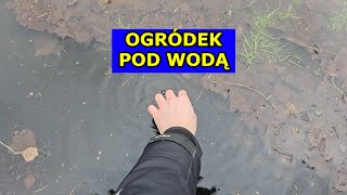 Zalało nam Działkę Mamy teraz Basen zamiast Pola Ogród Warzywny pod Wodą Uprawa Warzyw Borówek [upl. by Aseret]