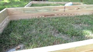 Raised Bed Garden Frames Design Questions Answered [upl. by Yror447]