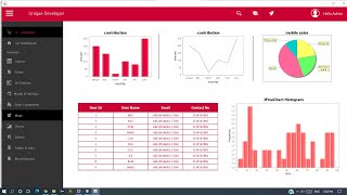 JAVA  How to design a simple dashboard UI using Swing and Java with graphs Netbeans 2021 [upl. by Ronen]