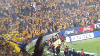 Tigres vs Monterrey 41 Clásico 111 quotTodos los goles y reacciones de la aficiónquot [upl. by Tabber]