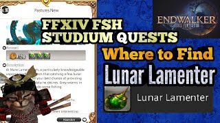 Where to Find Lunar Lamenter Fish for lvl 90 FSH Studium Delivery Pastures New FFXIV Endwalker [upl. by Enna883]