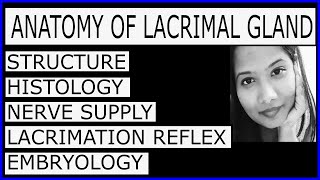 Anatomy of Lacrimal Gland Complete Lecture  Structure HistologyNerve SupplyEmbryology [upl. by Allanson]