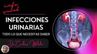 INFECCIONES URINARIAS Todo lo que necesitas saber [upl. by Schenck]