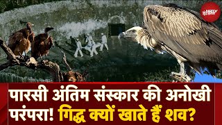 Ratan Tata Death पारसी अंतिम संस्कार में Vultures क्यों खाते हैं शव  Zoroastrianism Last Rites [upl. by Rotkiv]