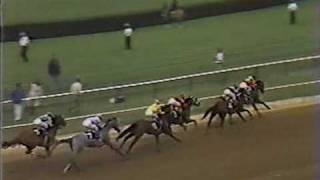 1980 Preakness Stakes Another Angle Of quotThe Controversyquot [upl. by Tonya]