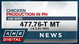 Chicken hog output grow in Q2 amid declining farmgate prices  ANC [upl. by Odin]