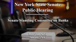 New York State Senate Public Hearing  05302023 [upl. by Jazmin]