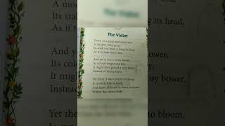 The Violet poem Literature book Class VI NCERT CBSE Explanation in hindi [upl. by Sellig]