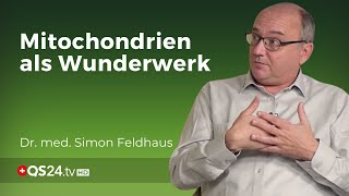 Mitochondrien und ihre Funktionsfähigkeit  Dr med Simon Feldhaus  NaturMEDIZIN  QS24 [upl. by Siryt]