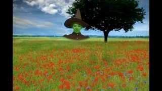 quotWizard of Ozquot Poppy Field with Wicked Witch [upl. by Anyg192]