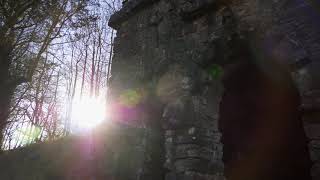 Discover Ingleborough Estate Nature Trail [upl. by Oirevas255]