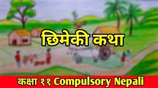 छिमेकी कथा । SUMMARY। Class 11 Compulsory Nepali [upl. by Justen]